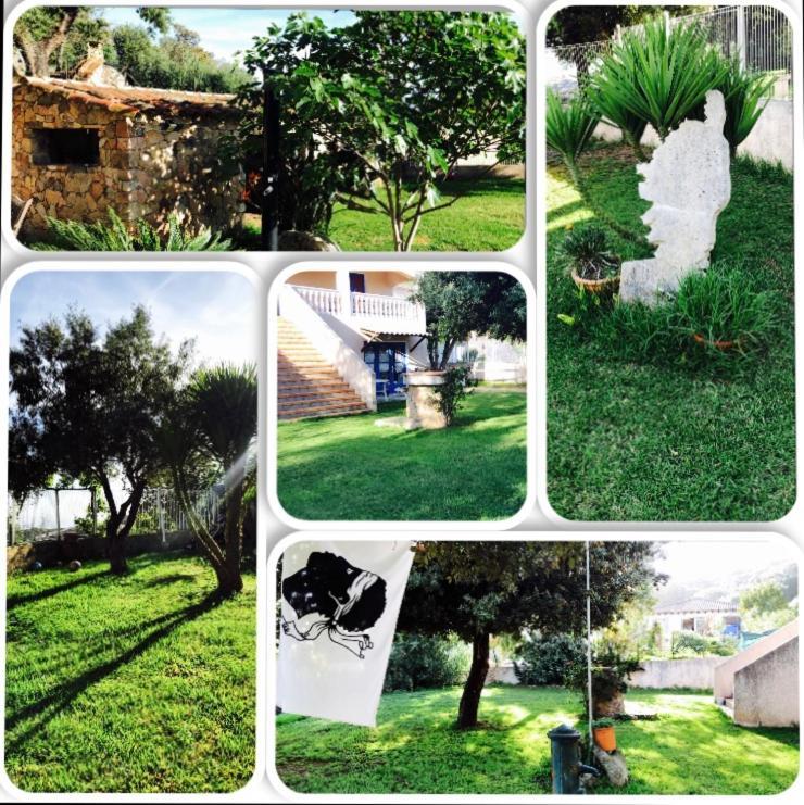Appartement corse olmeto Olmeto  Esterno foto